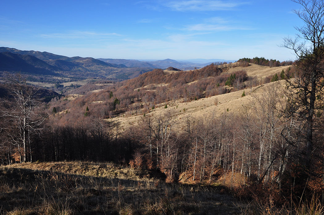 Berglandschaft