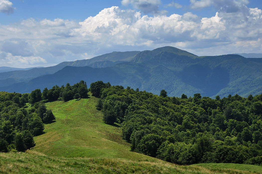 Berglandschaft