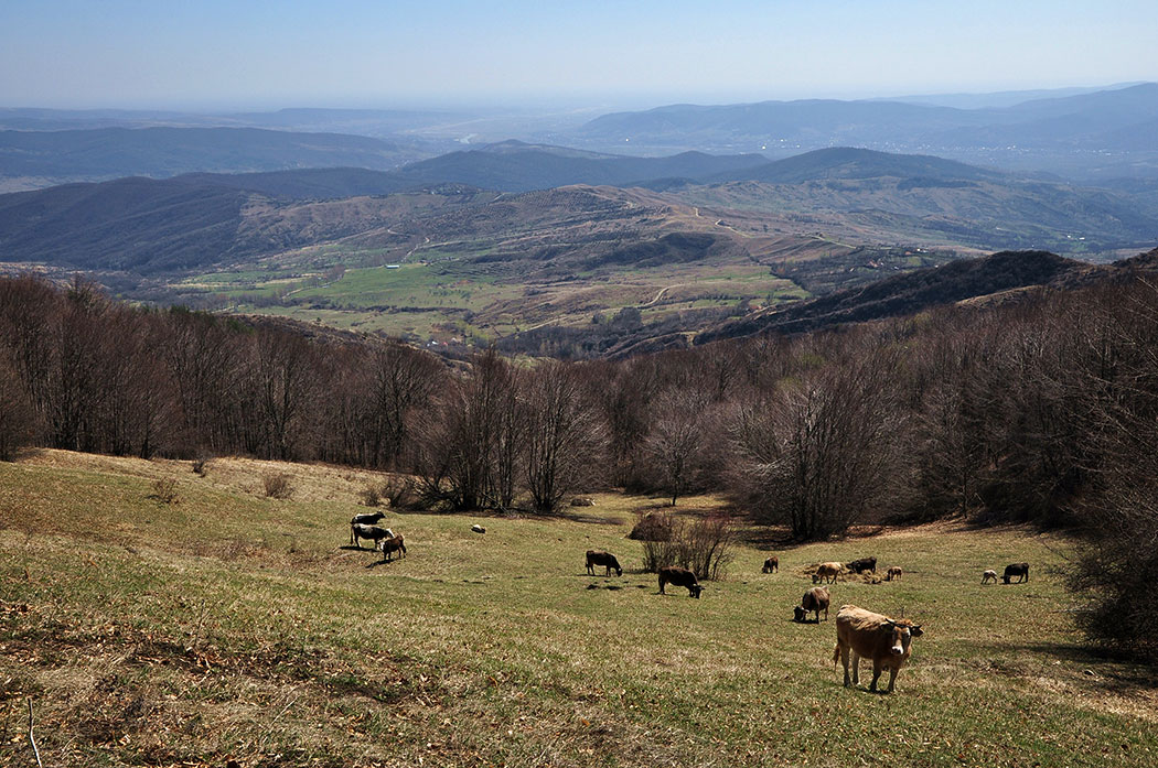 Berglandschaft