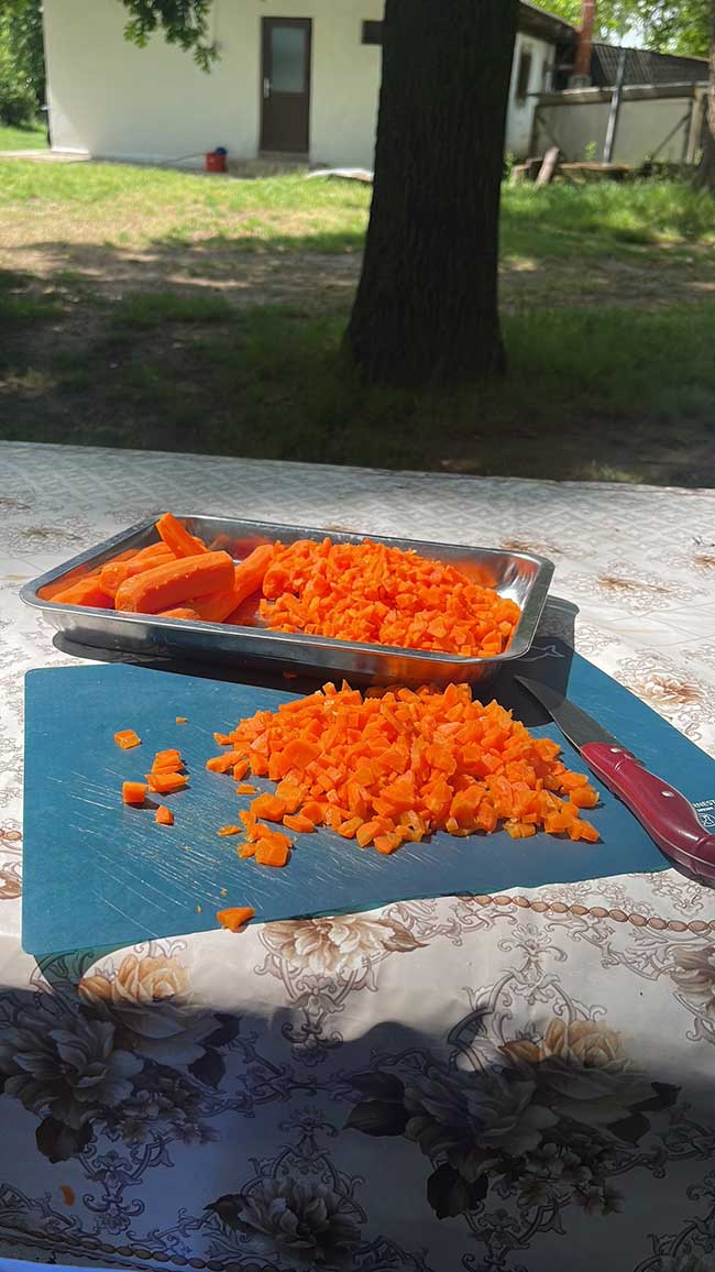 Blech voller Möhren