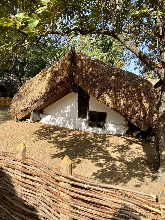 Haus mit Strohdach
