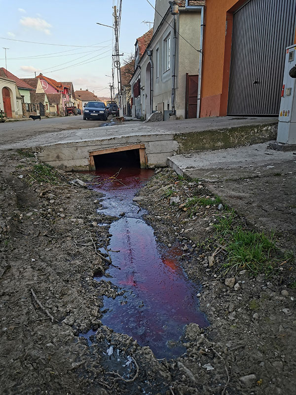 Blut fließt in einem Graben vor einem Haus
