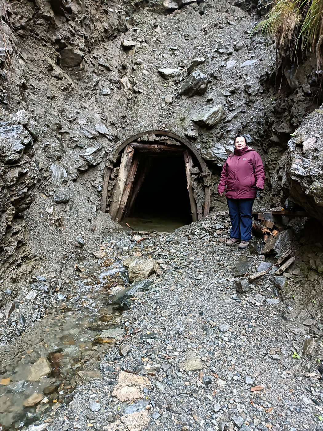 Eingang eines Bergstollens