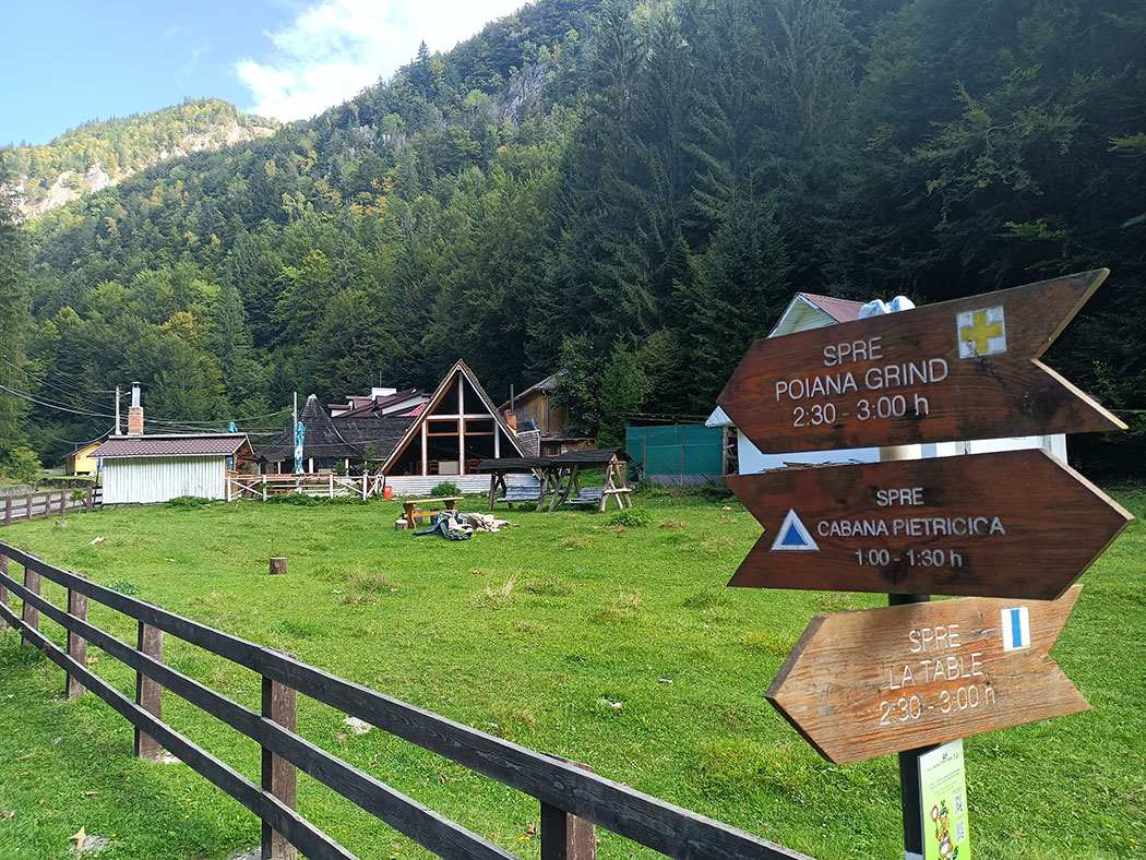 Wiese vor einem Holzhaus