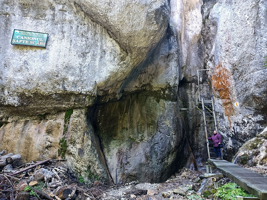 Frau vor einer Leiter in einer Schlucht