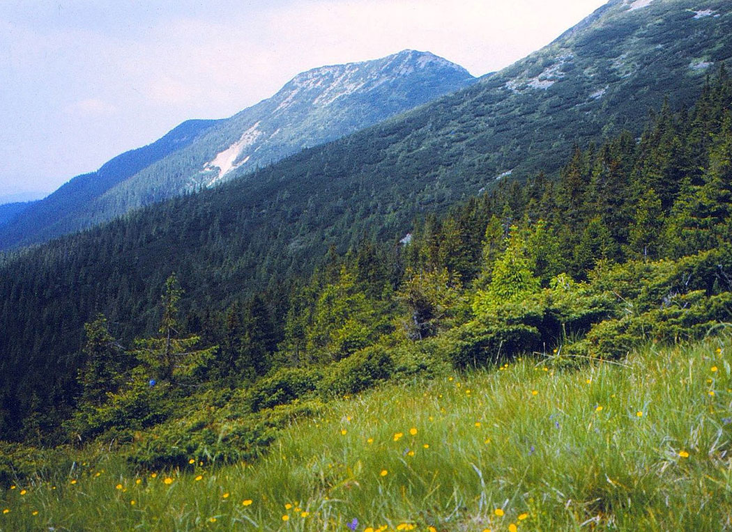 Berglandschaft