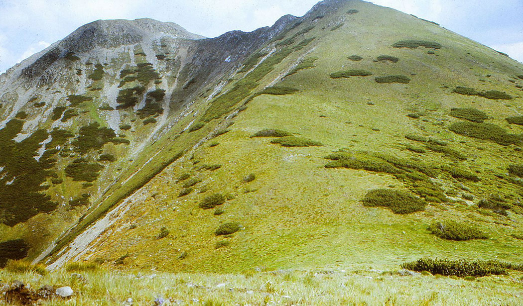 Berglandschaft