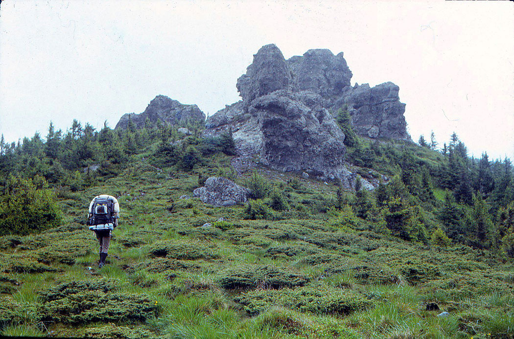 Mann wandert in Berglandschaft