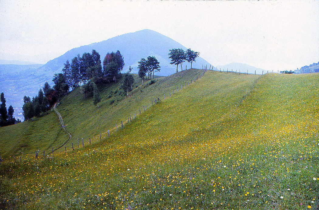 Berglandschaft