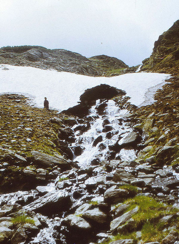 Schneefelder in Berglandschaft