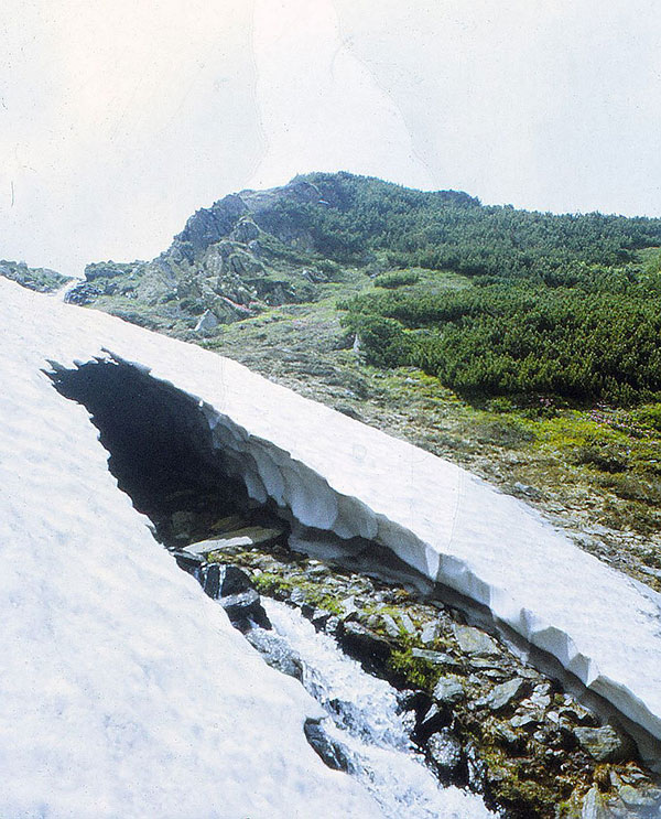 Schneefelder