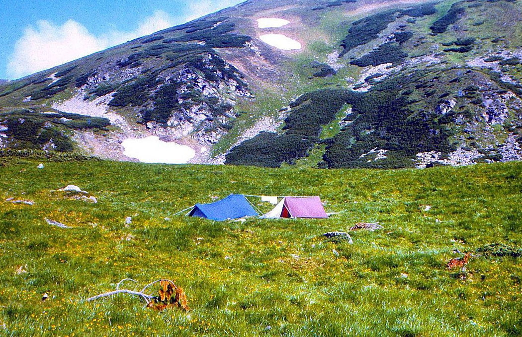 Zelte auf einer Bergwiese