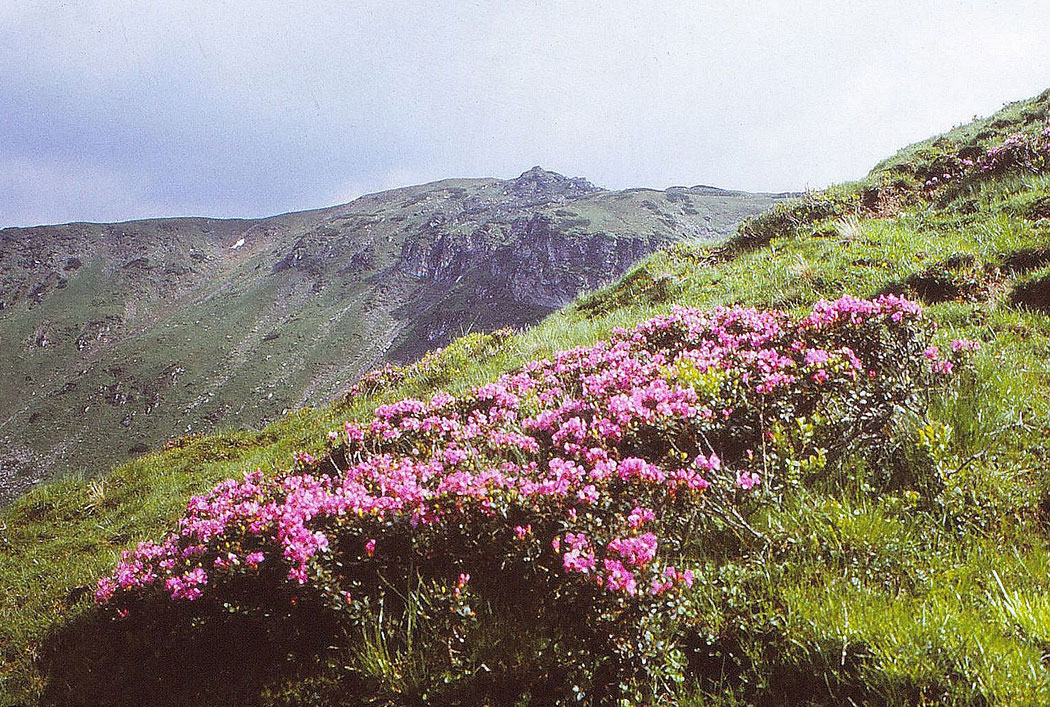 Berglandschaft