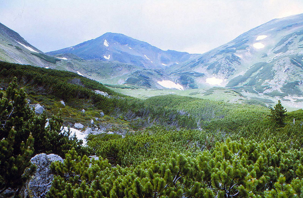 Berglandschaft