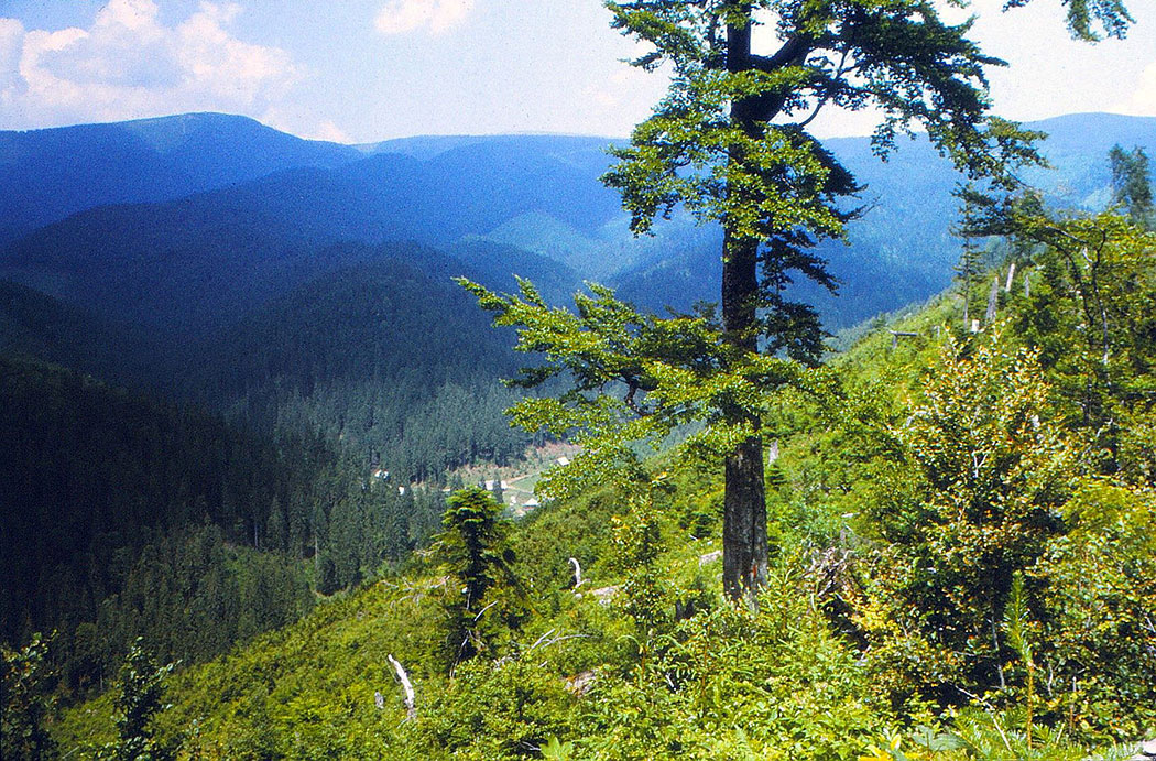 Berglandschaft