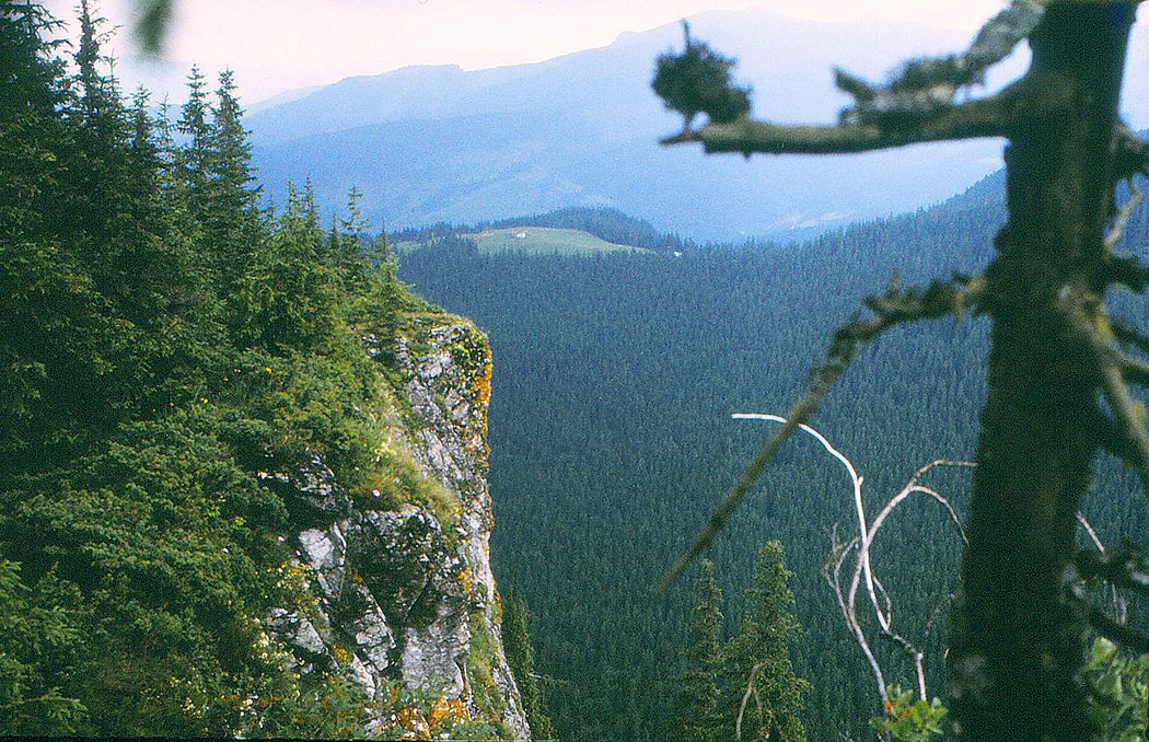 Berglandschaft