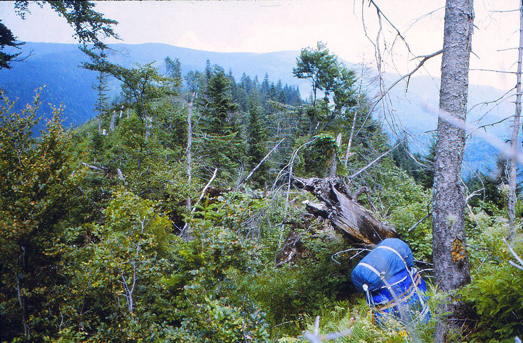 Rucksack in Berglandschaft
