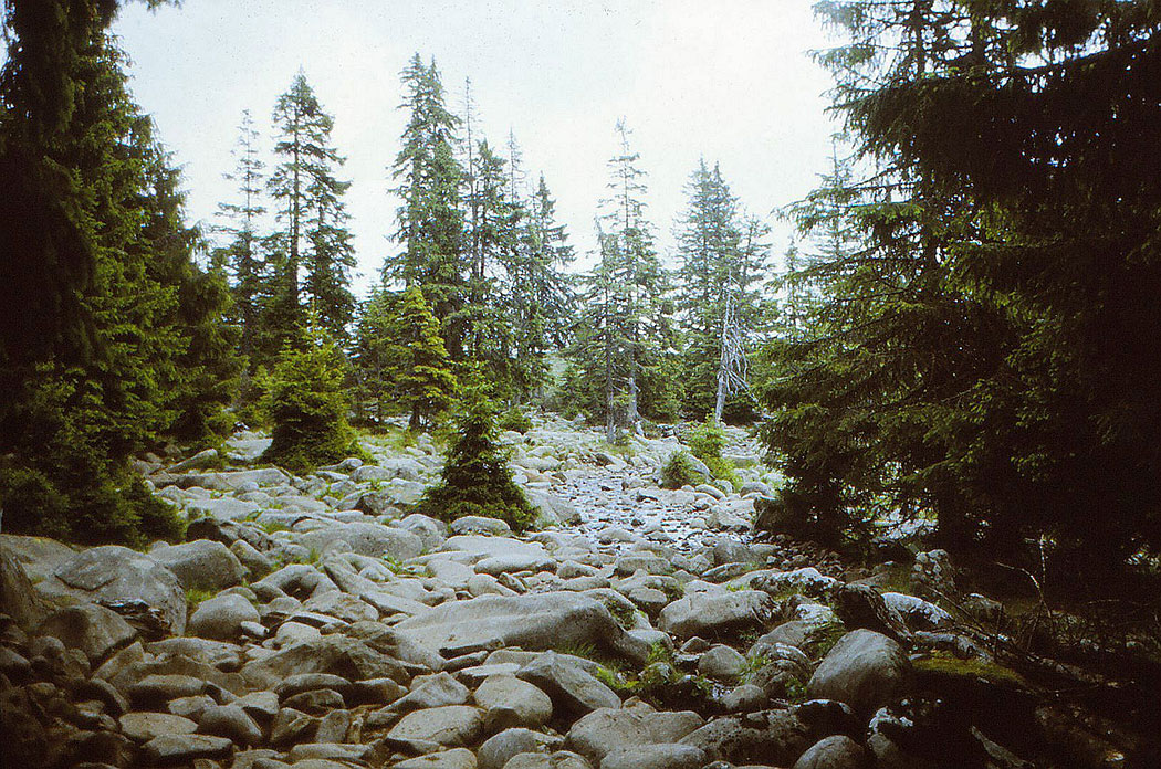 Berglandschaft