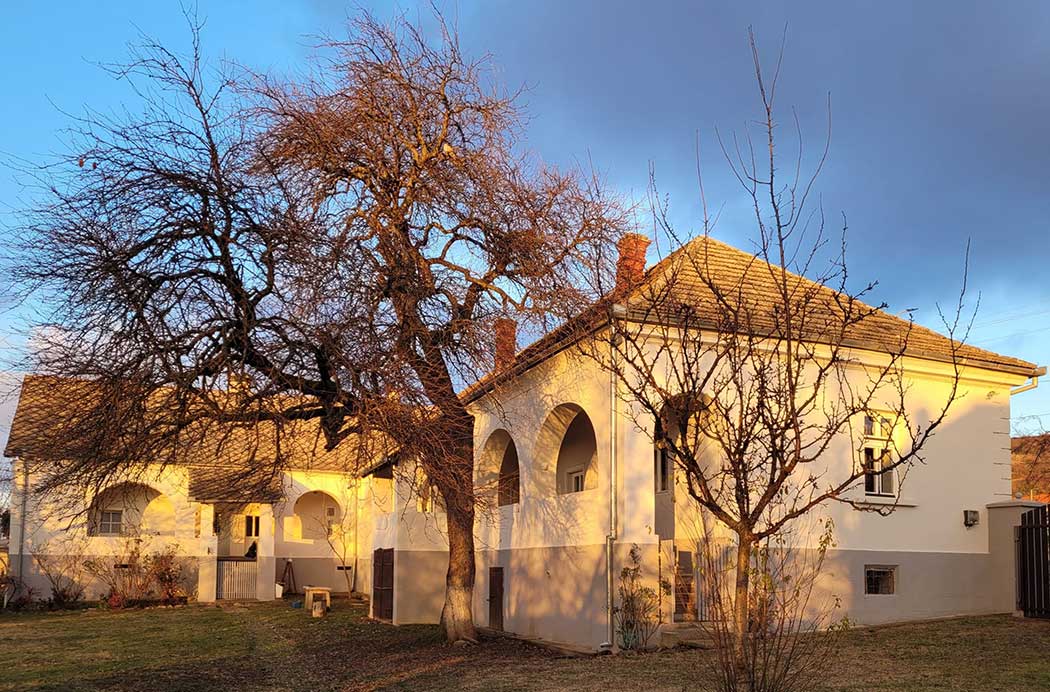 Bauernhaus mit Bäumen davor