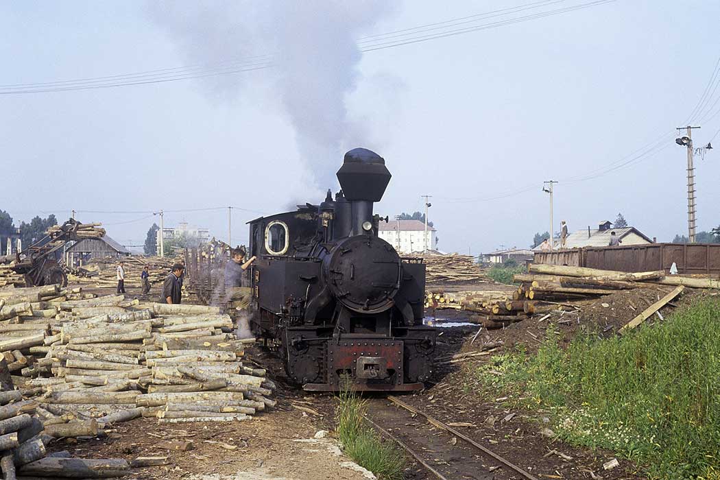 Dampflokzug an einem Verladeplatz