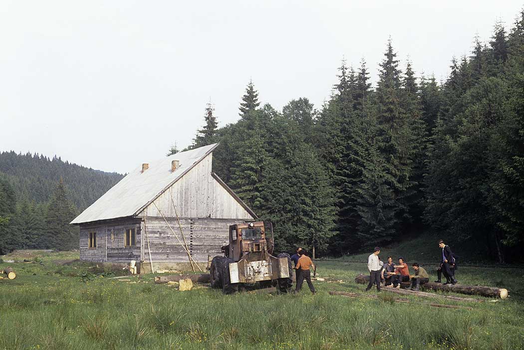 Waldarbeiterhütte