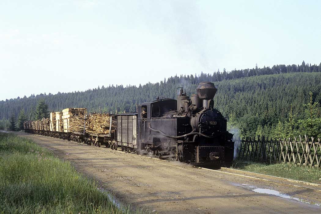 Dampflokzug mit Holz beladen