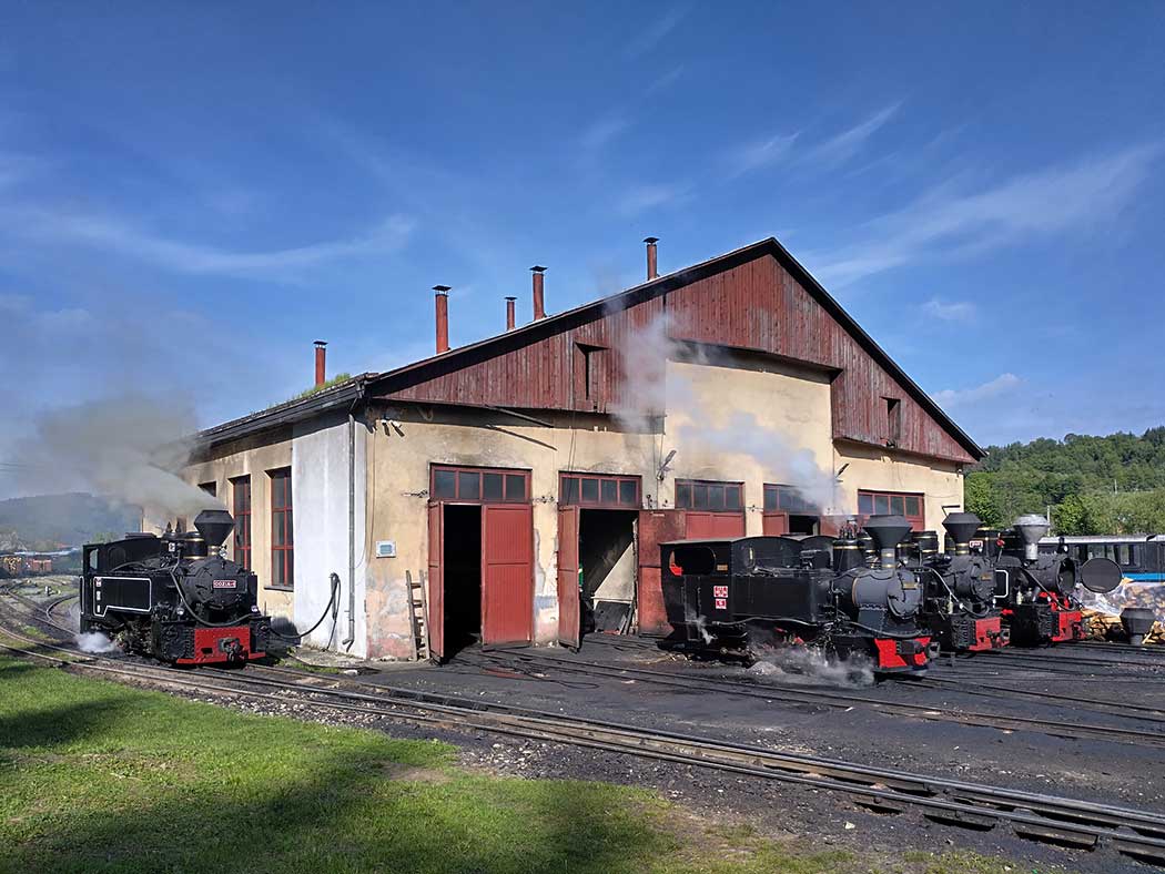 Dampfloks vor einem Lokschuppen