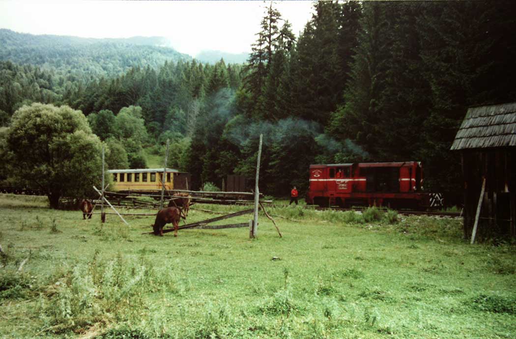 Zugfahrt durchs Wassertal
