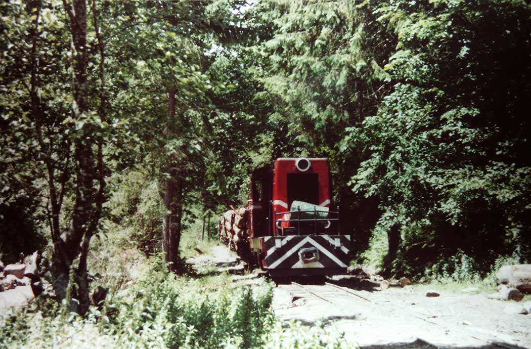 Zugfahrt durchs Wassertal