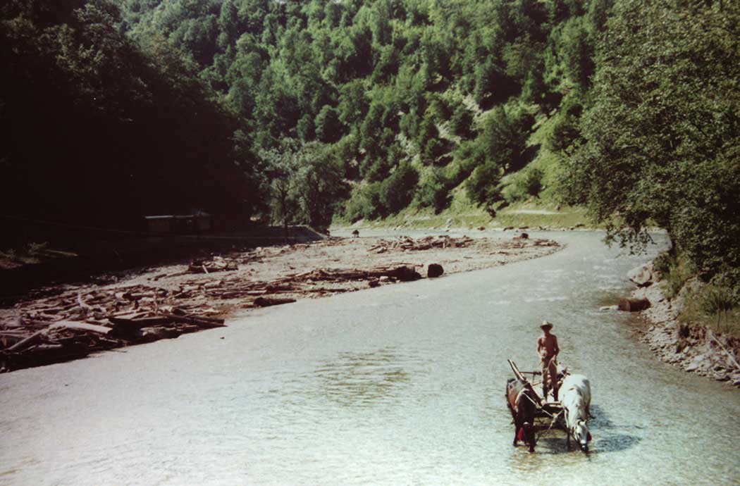 Pferdefuhrwerk im Fluss