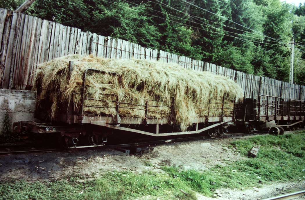 abgestellte Waggons im Bahnhof