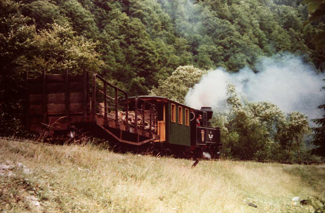 Dampflokfahrt durchs Wassertal