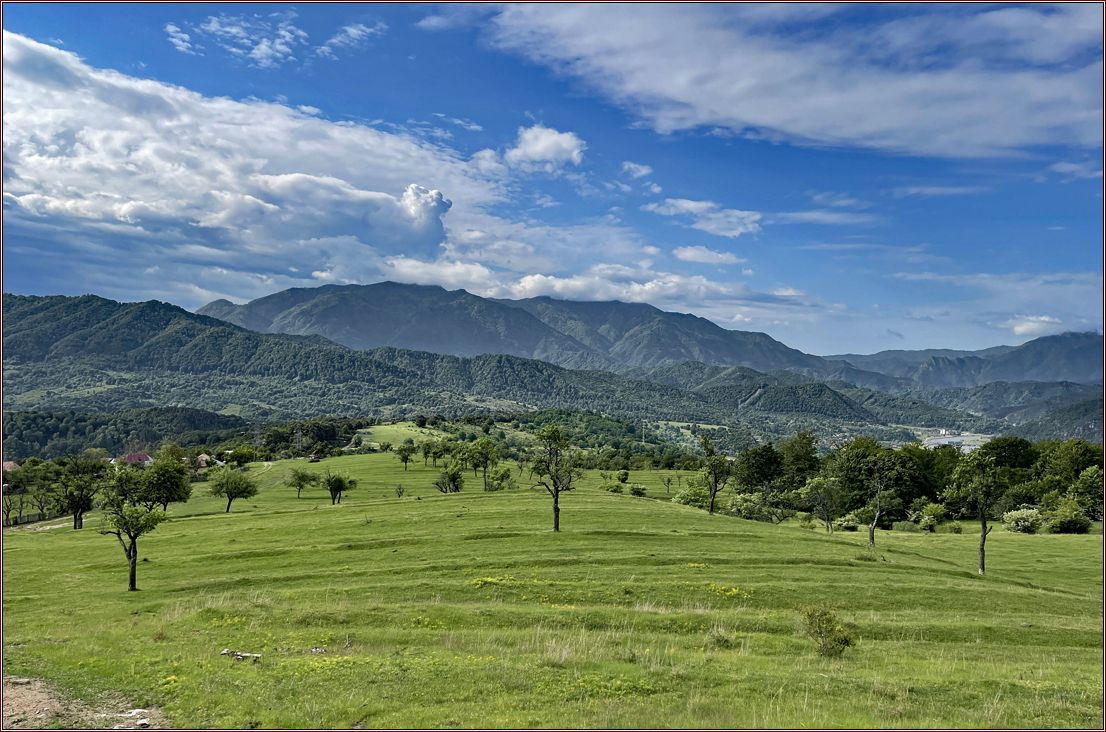 Wiese vor Berglandschaft