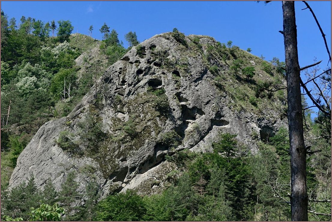 Felsen