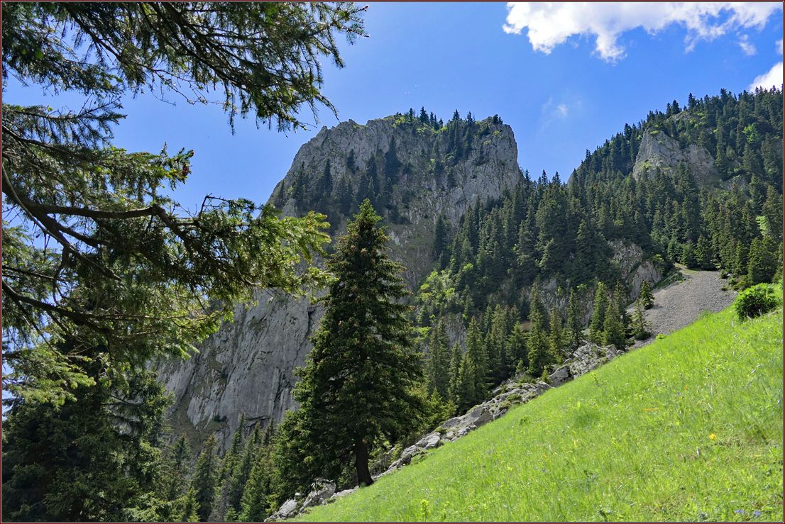 Bergwiese mit Felsklippe