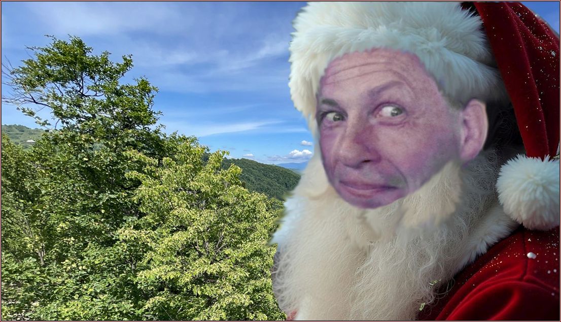 Willi als Weihnachtsmann verkleidet