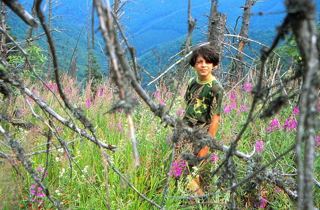 Junge vor einem Baum