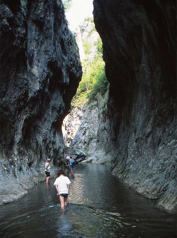 Fluss fließt durch eine Klamm