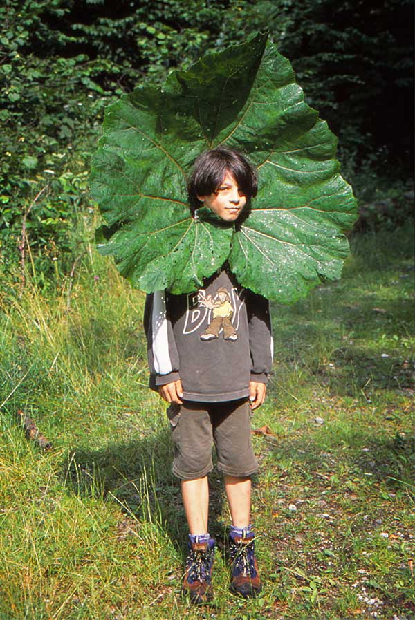 Junge mit einer Pflanze auf dem Kopf