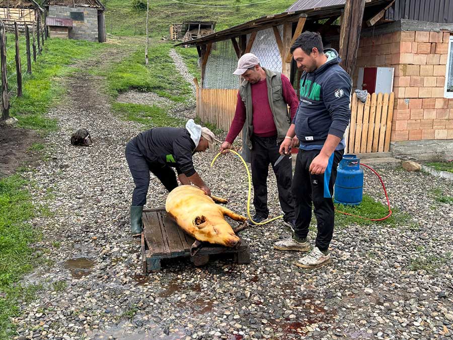 Frauen auf einer Bank