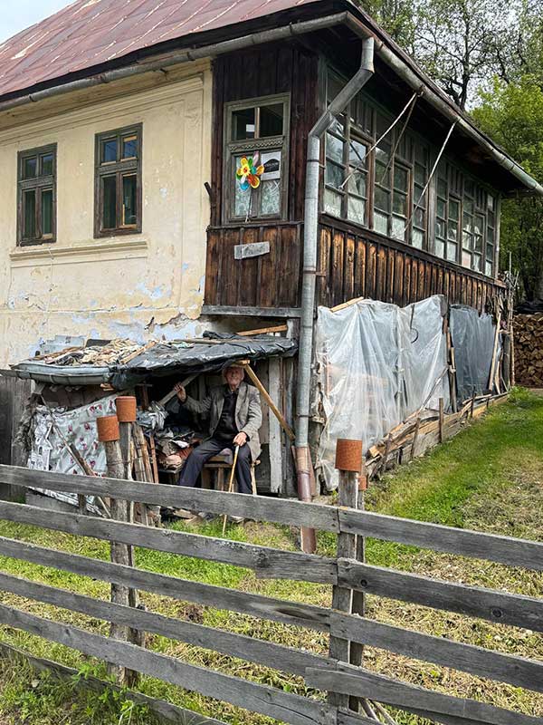 Schubkarre vor einem Baum