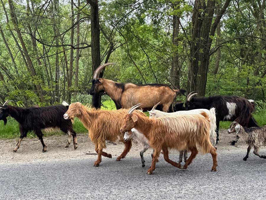 Frau auf einer Bank vor einem Haus